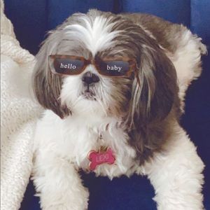 Meet your Posher, Lucia